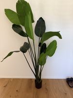 Künstliche Pflanze Tropic 180 cm neuwertig