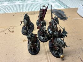 Soulblight Gravelords vollständig bemalt 