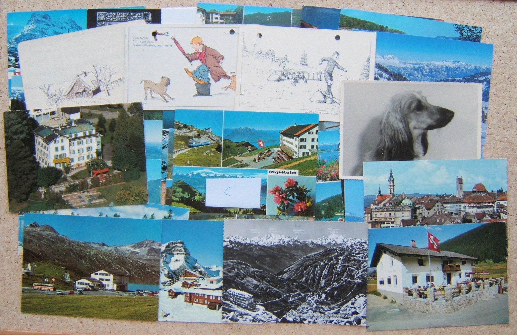 Cartoline postali: LOT AK SCHWEIZ (C) – Usato da Brunnen venduto da Nonne04