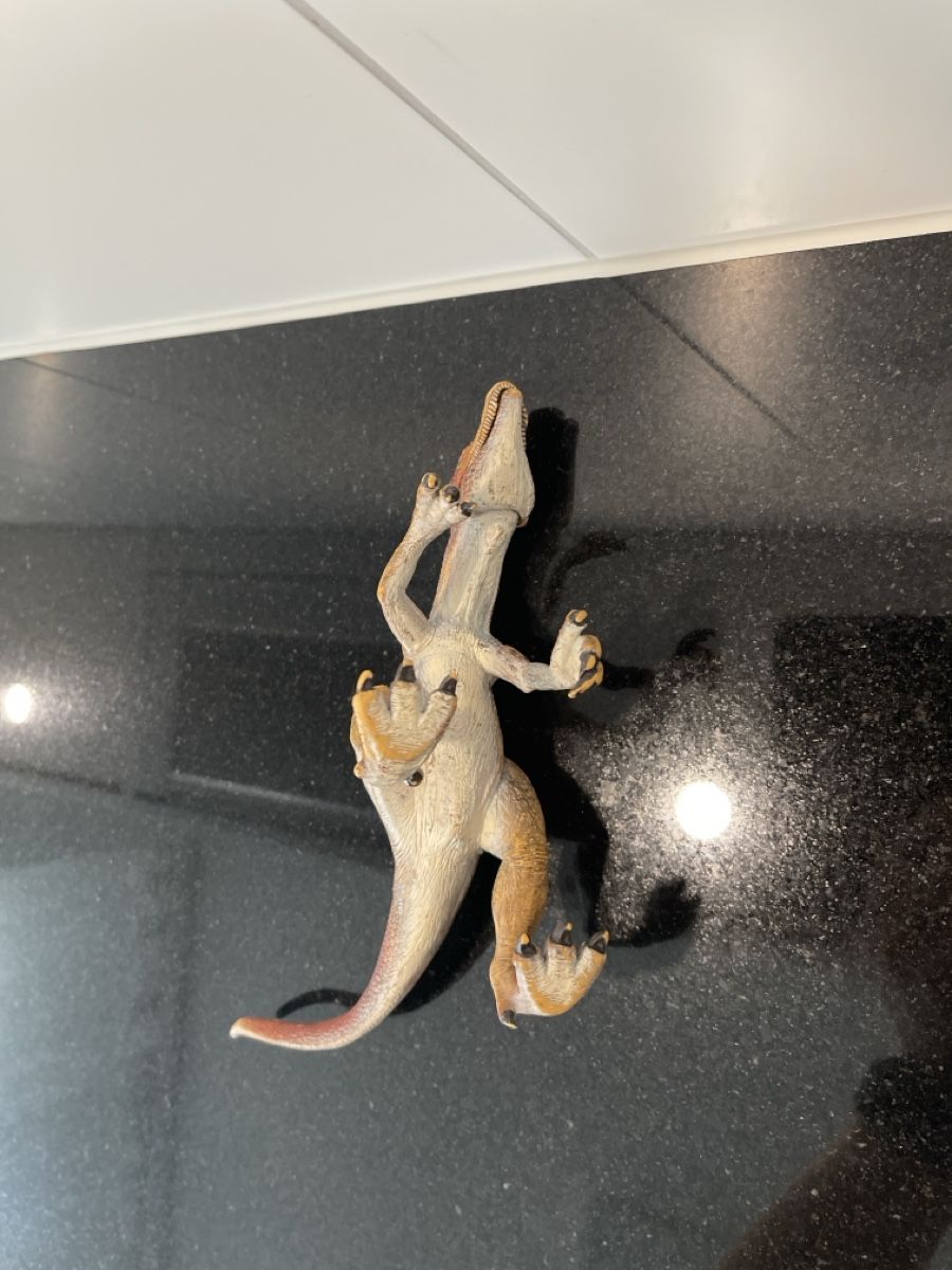 Schleich Figuren: Schleich Dinosaurier  – Gebraucht aus Oberrieden von Boccia1981 4