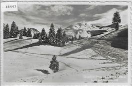 Skigebiet Stoos ob Schwyz - Blick auf Klingenstock