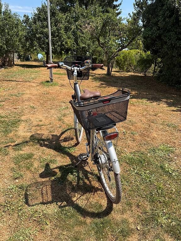 Velos: E-Bike Allegro Acil 03 28' – Gebraucht aus Auvernier von Luciforms 3