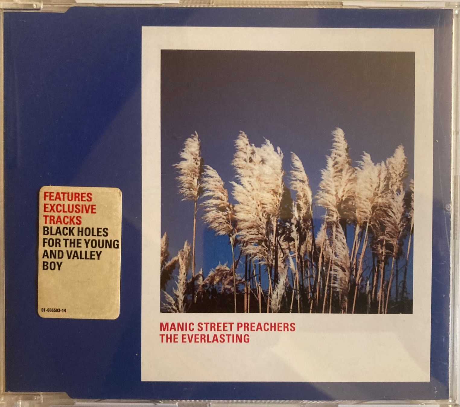 CDs: MANIC STREET PREACHERS - THE EVERLASTING – Gebraucht aus Poliez-Pittet von Newtown-Records