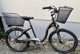 Flyer e-bike