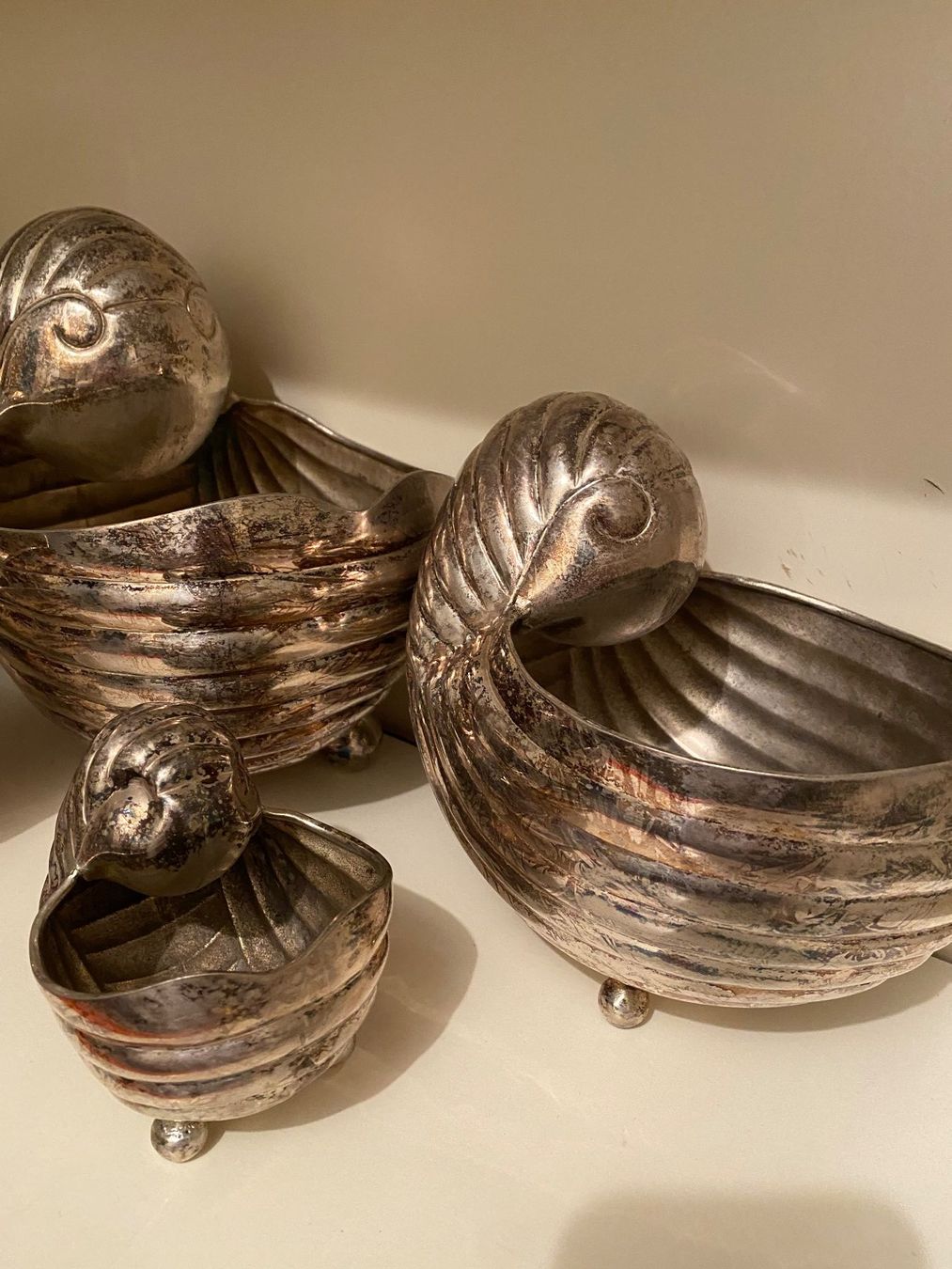 Ciotole: Vintage Nautilus Schalen versilbert im Set – Usato da Rorbas venduto da tun_m7fz 5