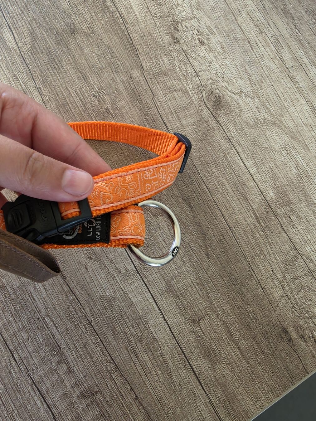 Nastri decorativi: Orange dog collar, size adjustable, new – Nuovo (secondo la descrizione) da Düdingen venduto da its_sjd2 2