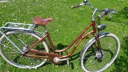 Diamant Villiger Topas Damen Velo