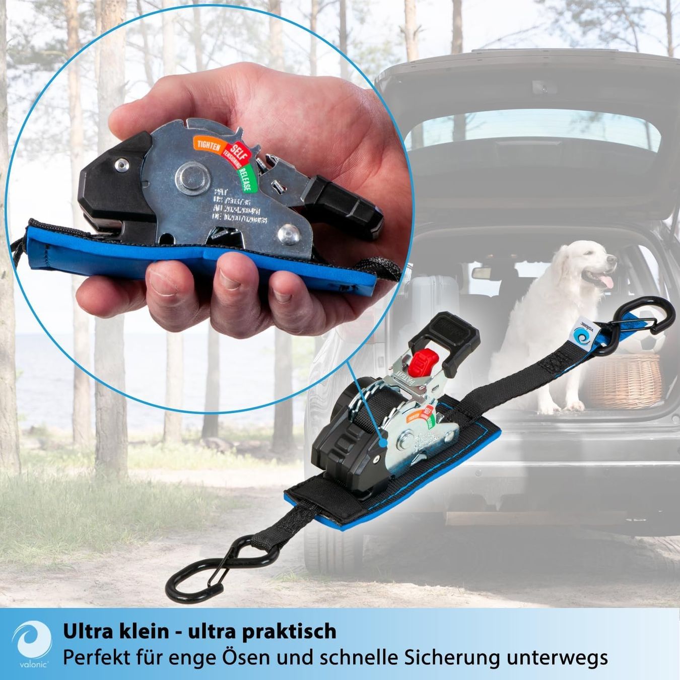 Tutti gli attrezzi: Spanngurte Automatik 2m 2er Set 150kg Mini – Nuovo e nell'imballaggio originale da Suhr venduto da TradeMasters 1