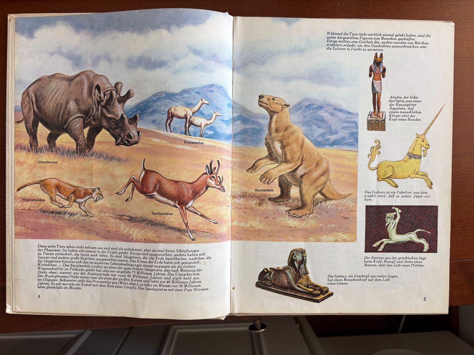Libri: Was ist Was, Bd. 13: Wilde Tiere 1963 – Usato da THERWIL venduto da Fcbbasel 3