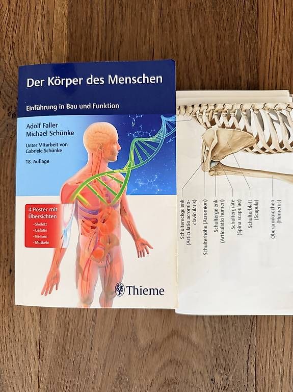 Libri: Der Körper des Menschen  – Nuovo e nell'imballaggio originale da Heimberg venduto da melsarah