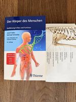 Der Körper des Menschen 