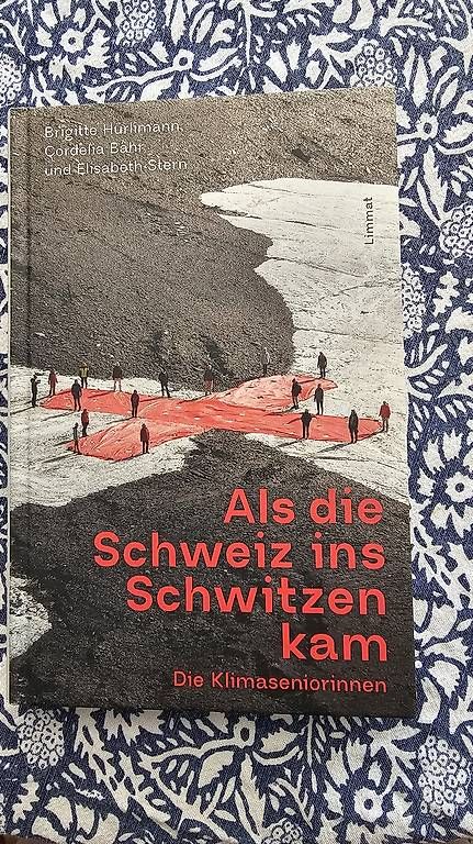 Bücher: Als die Schweiz ins Schwitzen kam – Gebraucht aus Bern von RegBer 1