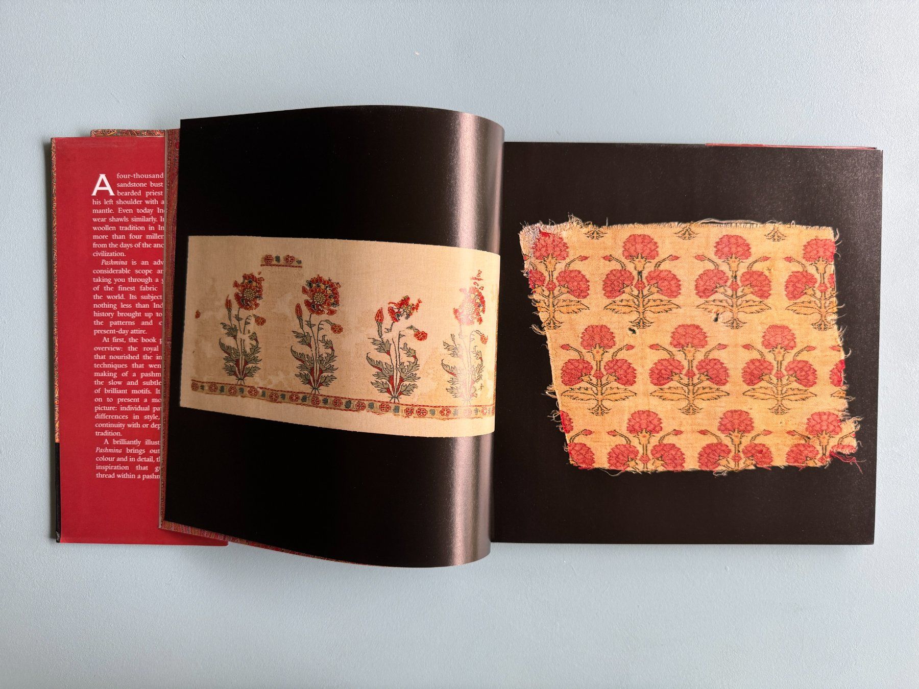 Livres: PASHMINA - Anamika Pathak – D'occasion à Basel par Kornblumen 2