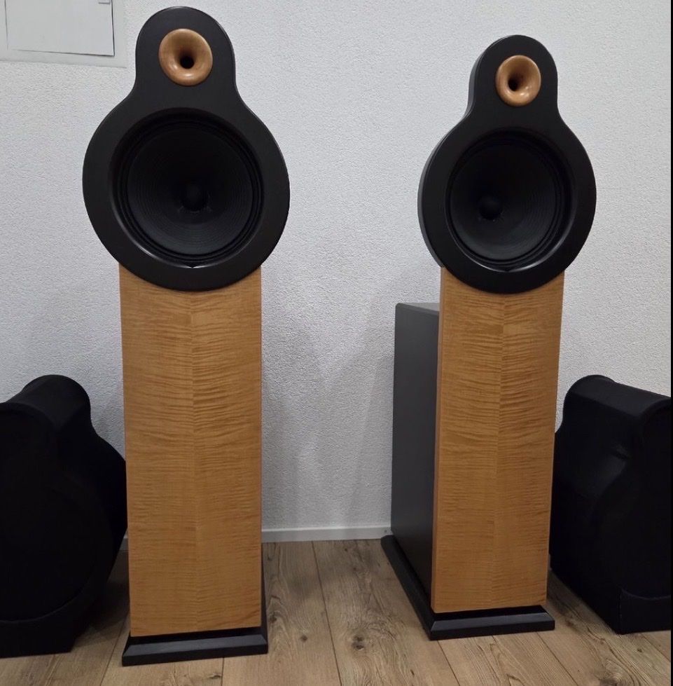 Casse acustiche: Bastanis APOLLO - Open Baffle Lautsprecher - TOP – Nuovo (secondo la descrizione) da Wald ZH venduto da RIVAAUDIOEMOTIONS 7