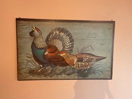 Poster  Auerhahn 98x62