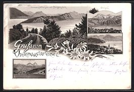 Litho Gersau, Panoramaansicht, Vierwalds
