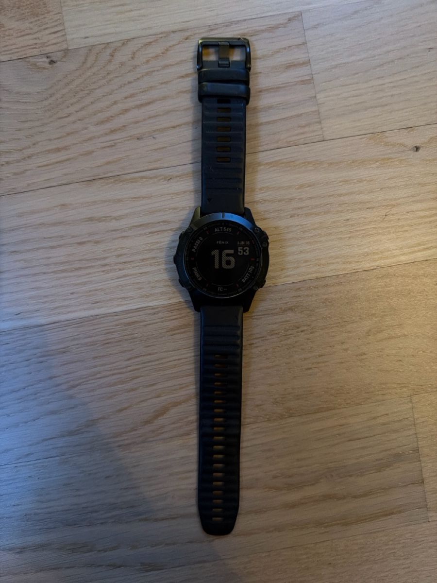 Garmin Smartwatch: Garmin Fenix 6 PRO – Gebraucht aus Zürich von fra89zh