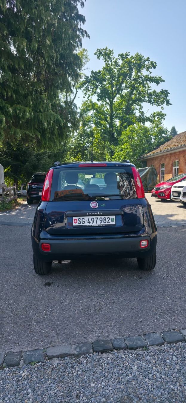 Fiat Autos: Fiat Panda – Gebraucht aus Steinach von man_t8wr 4