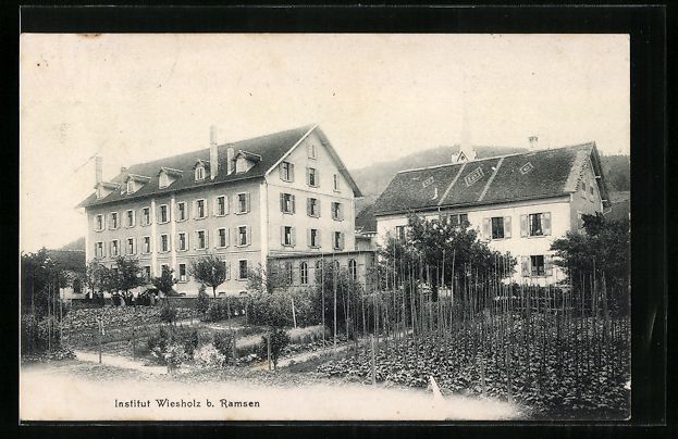 Cartoline postali: AK Wiesholz, Partie am Institut – Usato da Berlin venduto da bartko-reher