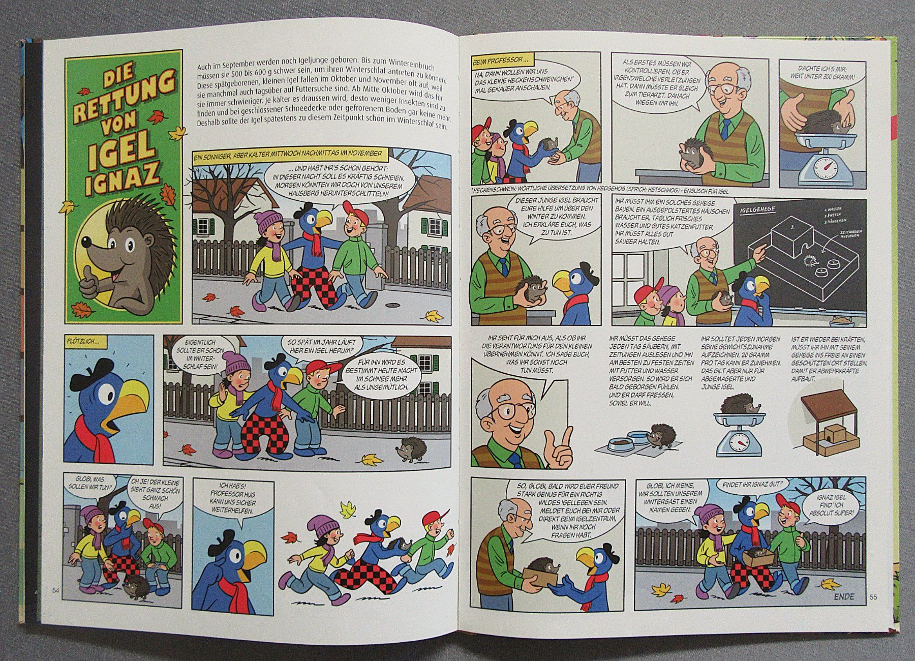 Libri: Globis Herbst - Mit Globi durch das Jahr – Usato da Auenstein venduto da Padabimbim 8