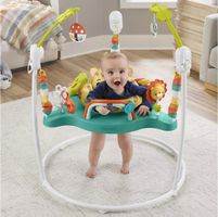 Jumperoo Baby Gym by Fisher price