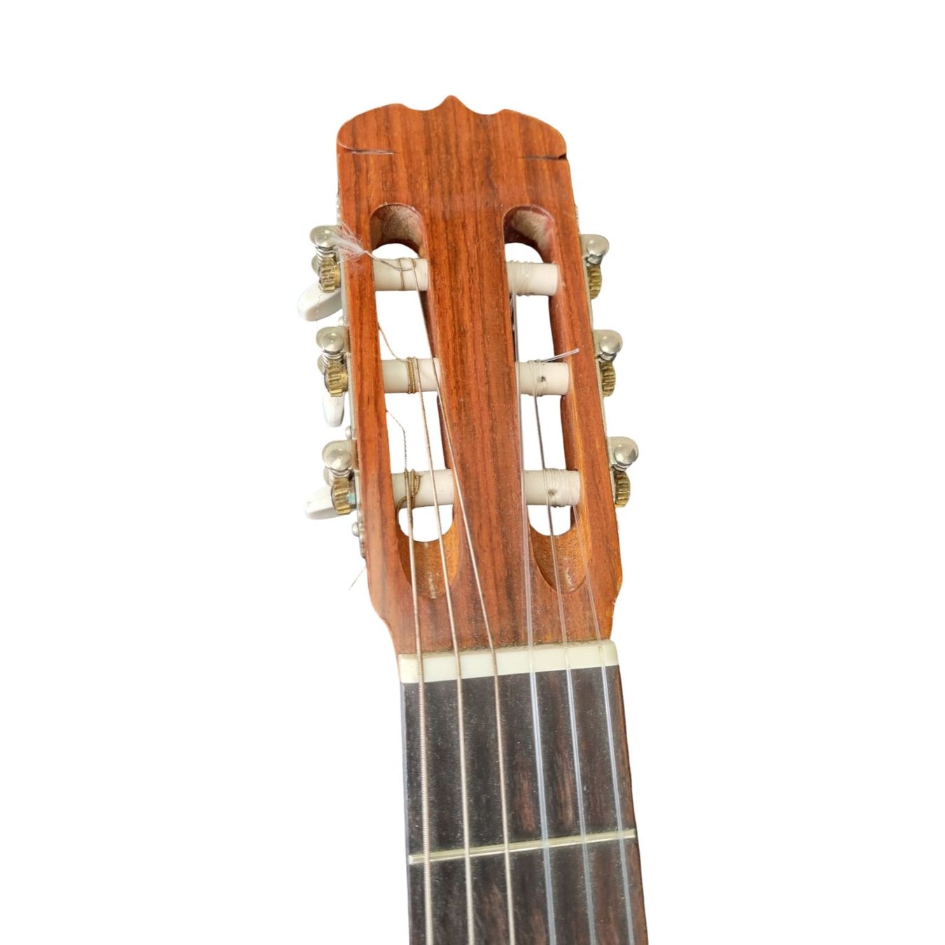 Aria Strumenti musicali: ARIA Akkustik Gitarre | A 550 – Usato da Wangen b. Olten venduto da Restwert_Wangen 2