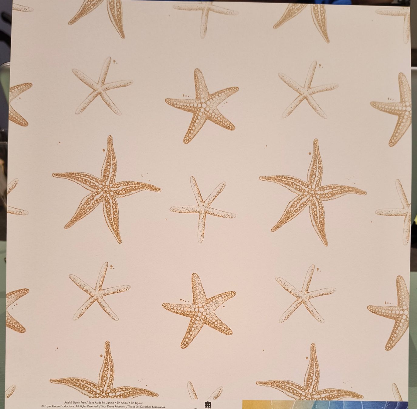 Carta: Scrapbooking Design Papier 30x30cm – Nuovo (secondo la descrizione) da Würenlingen venduto da Striga 4