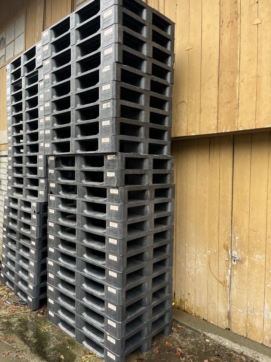 Pallets: 20 Stück Kunststoff Paletten – Usato da Schafisheim venduto da 555550