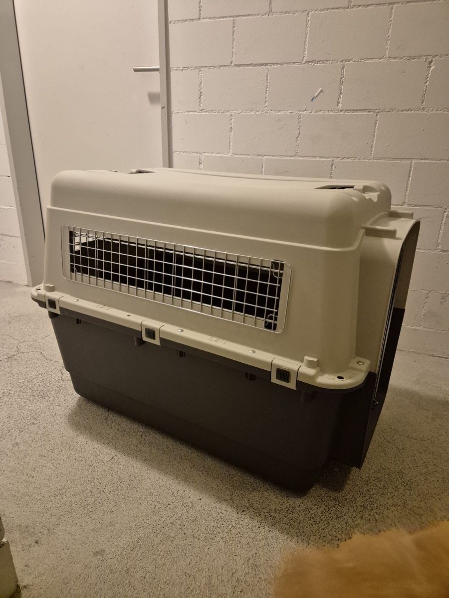 Liege- & Schlafplätze: Hundebox Transportbox Top Zustand! – Neu (gemäss Beschreibung) aus Reichenburg von Benutzer123_