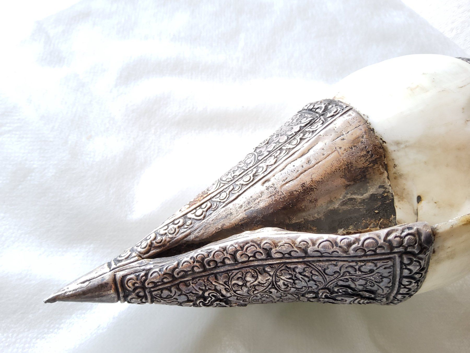 Musikinstrumente: Ancienne conque rituelle bouddhiste  – Gebraucht aus Malleray von Broc-Mo 7