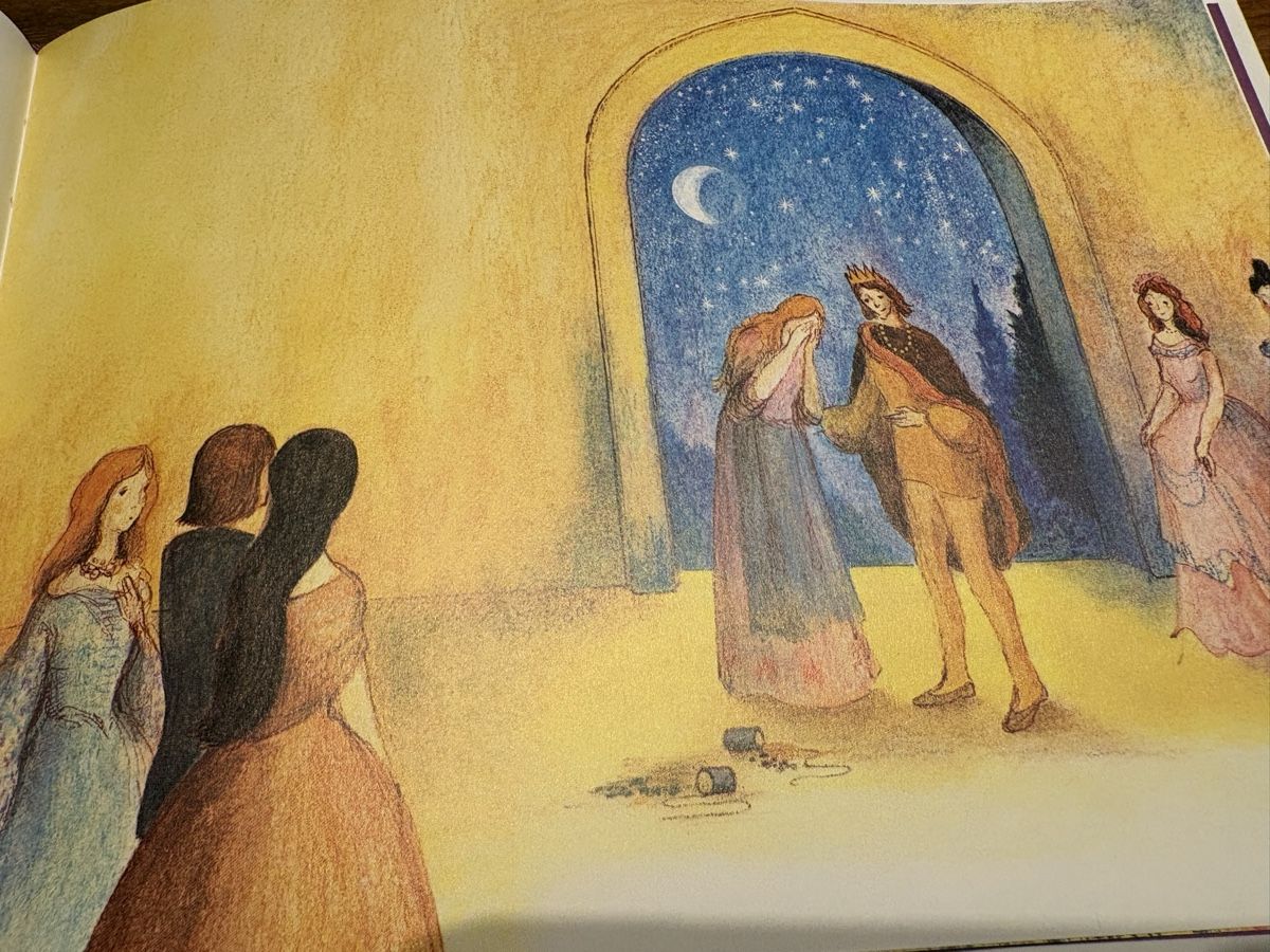 Bücher: Brüder Grimm König Drosselbart / Geschichte – Gebraucht aus Beromünster von msklef 4