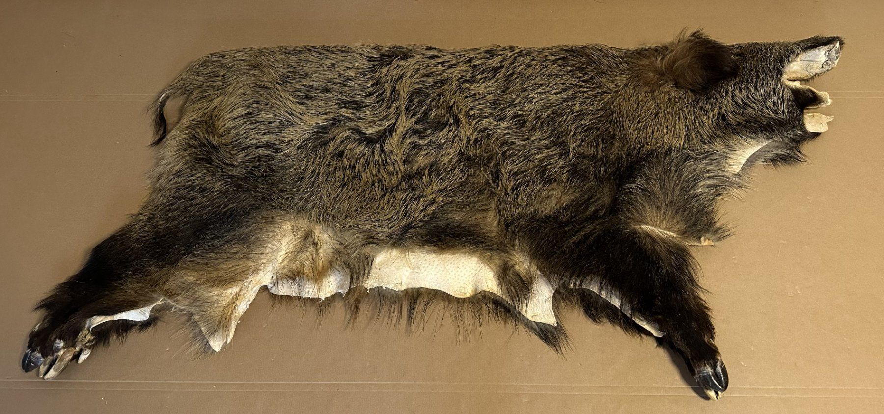 Tutte le decorazioni: Sehr schönes Wildschwein-Fell – Usato da Leibstadt venduto da hjk_2025 3