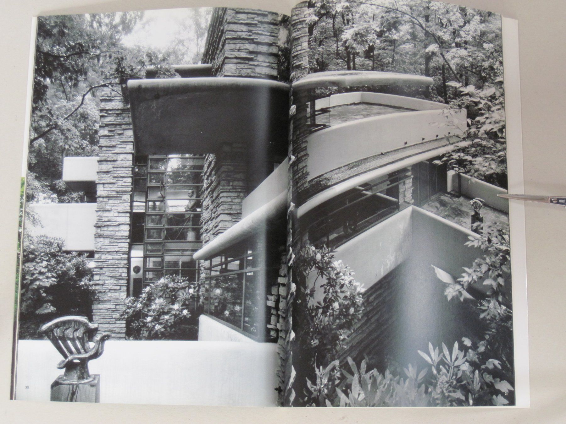 Libri: Frank Lloyd Wright Fallingwater – Usato da Feuerthalen venduto da mam_5l7b 4