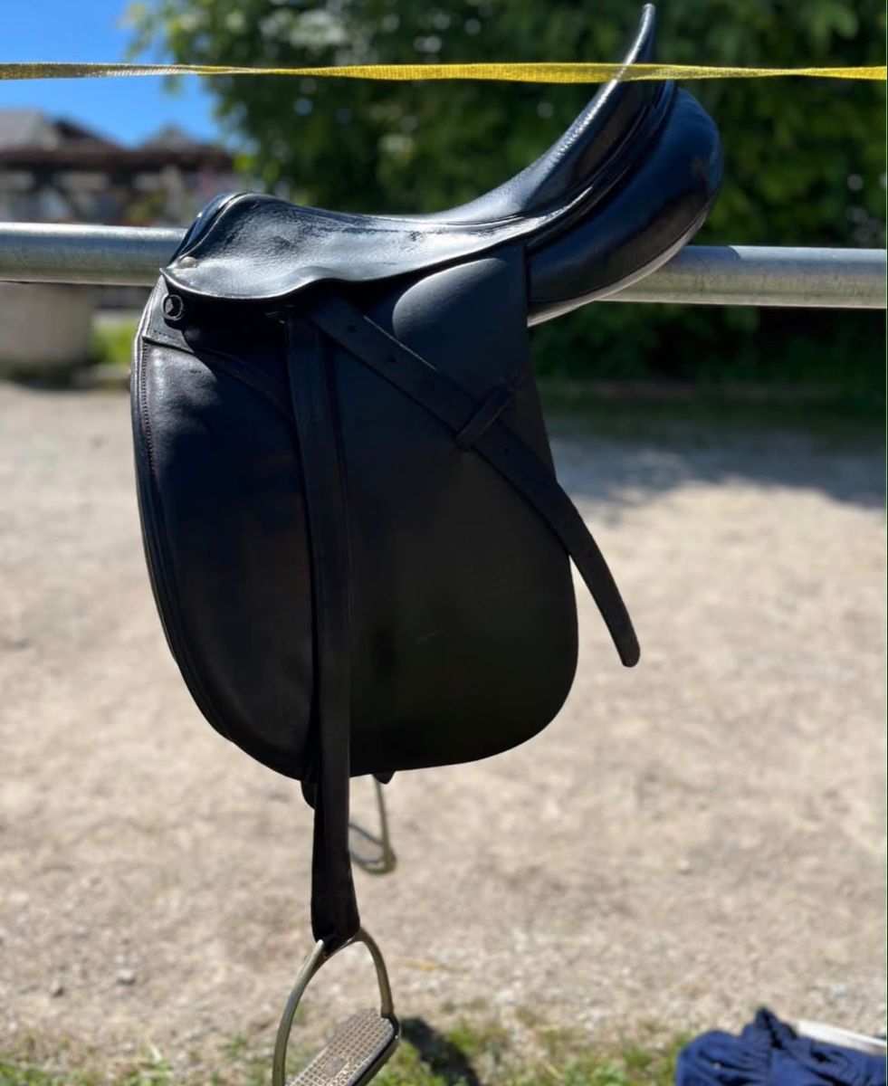 Selle & Accessori: Dressursattel vom Röösli – Usato da Frauenkappelen venduto da www_b6k8 1