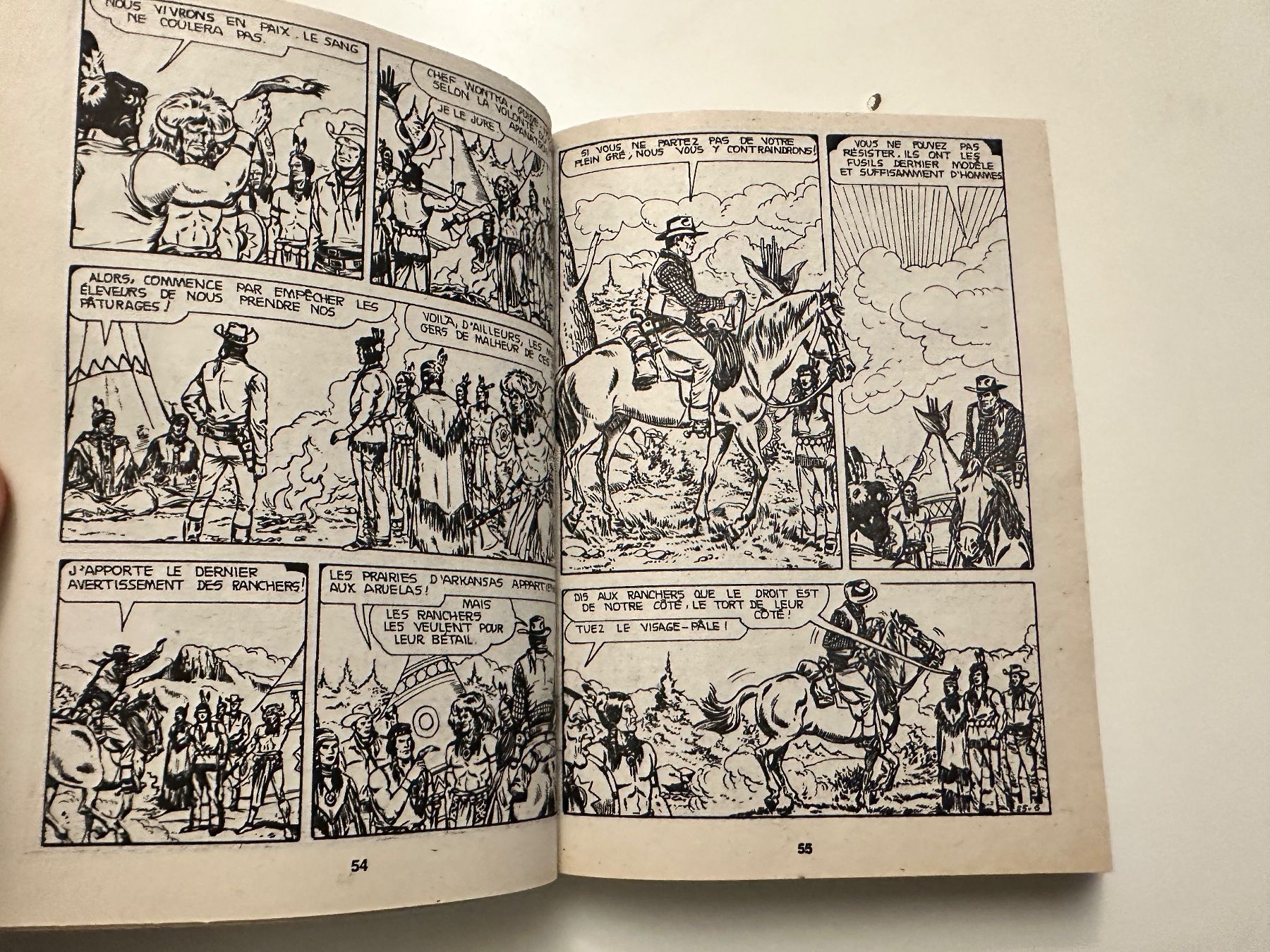 BD: ALBUM TOTEM NO 19 – D'occasion à Münsingen par Ganjam 3