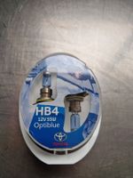 1 Satz HB4 Birnen Toyota Optifit 90981-YZZDG