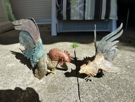 Hahnenkampf  Metallfiguren - Bunte Hähne