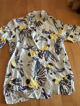 Zara Men shirt Bird L
