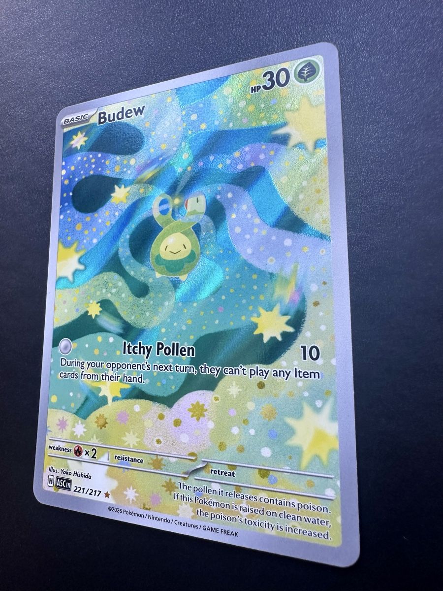 Pokémon Carte collezionabili: Budew #221 - Ascended Heroes - Ab 1.- CHF! – Usato da Bern venduto da HugoStiglitz11 2