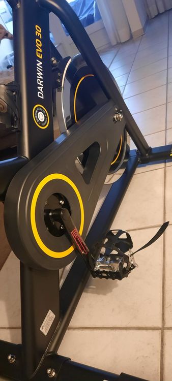 darwin indoor cycle evo 40