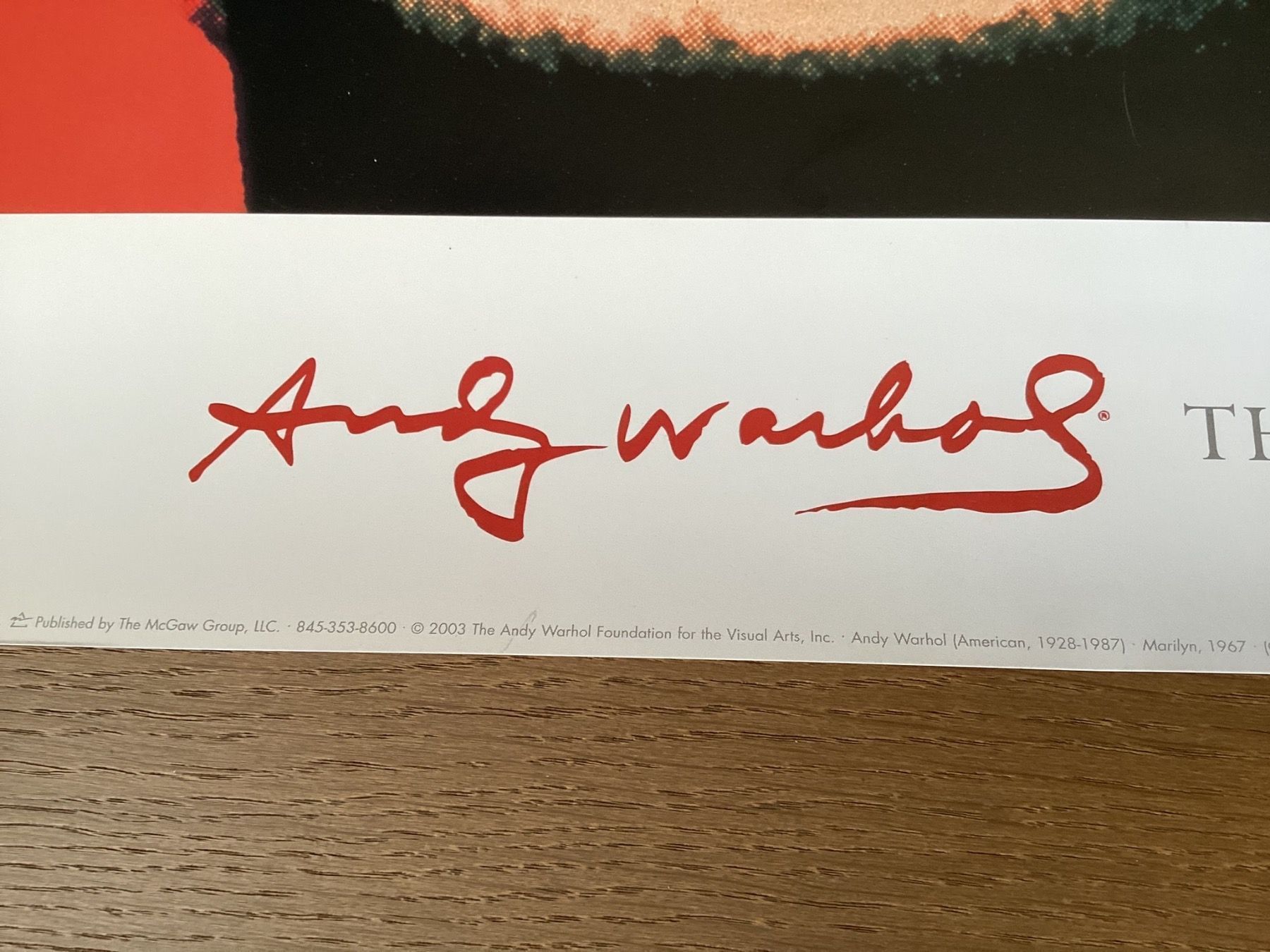 Foto & Immagini: Tableau Andy Warhol – Usato da Agiez venduto da Beve15 5