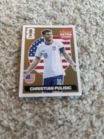 Panini Christian Pulisic Extra Sticker - USA - FIFA - WM