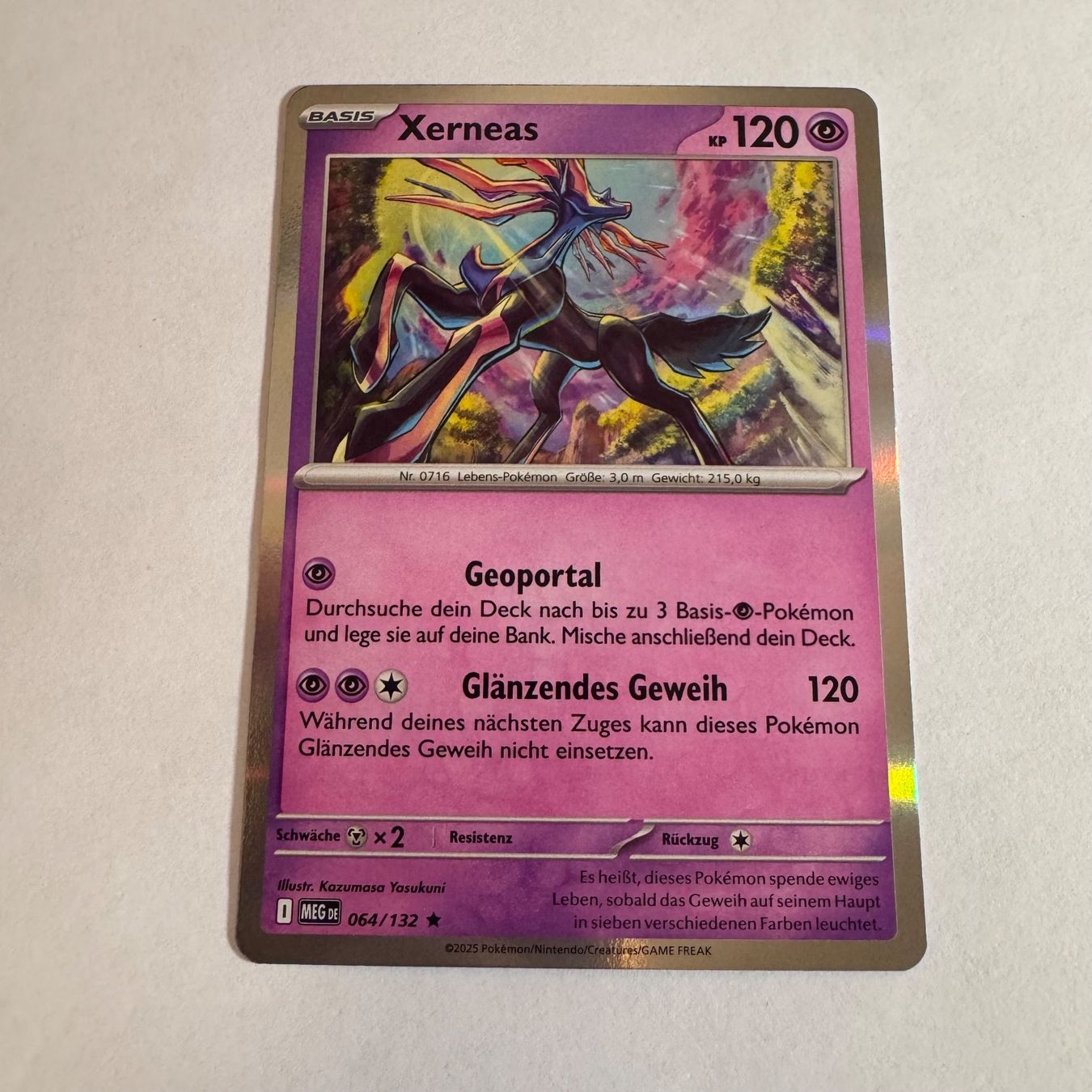 Pokémon Carte collezionabili: Pokémon - MEG 64 - Xerneas - DE – Nuovo (secondo la descrizione) da Staad SG venduto da miaCards