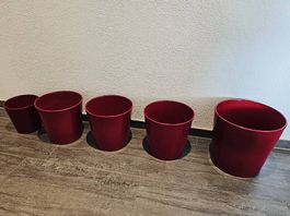 Übertopf Dallas glänzend bordeaux