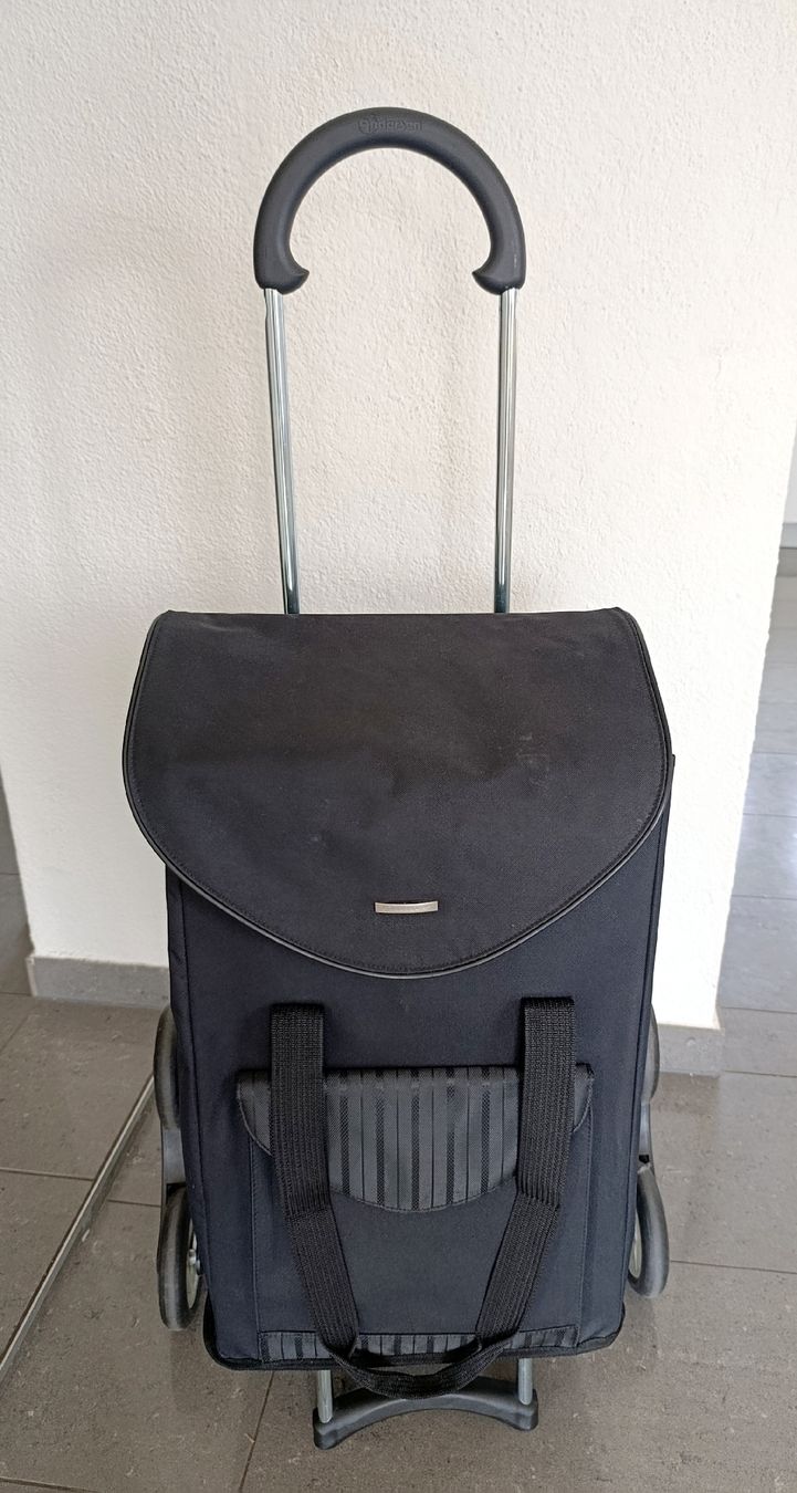 Altro per la casa: Andersen Einkaufstrolley 6 Räder Treppensteiger – Usato da Wil SG venduto da Donaldus 4