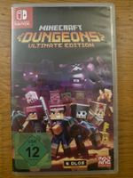 Minecraft Dungeons Hero Edition - Nintendo Switch 