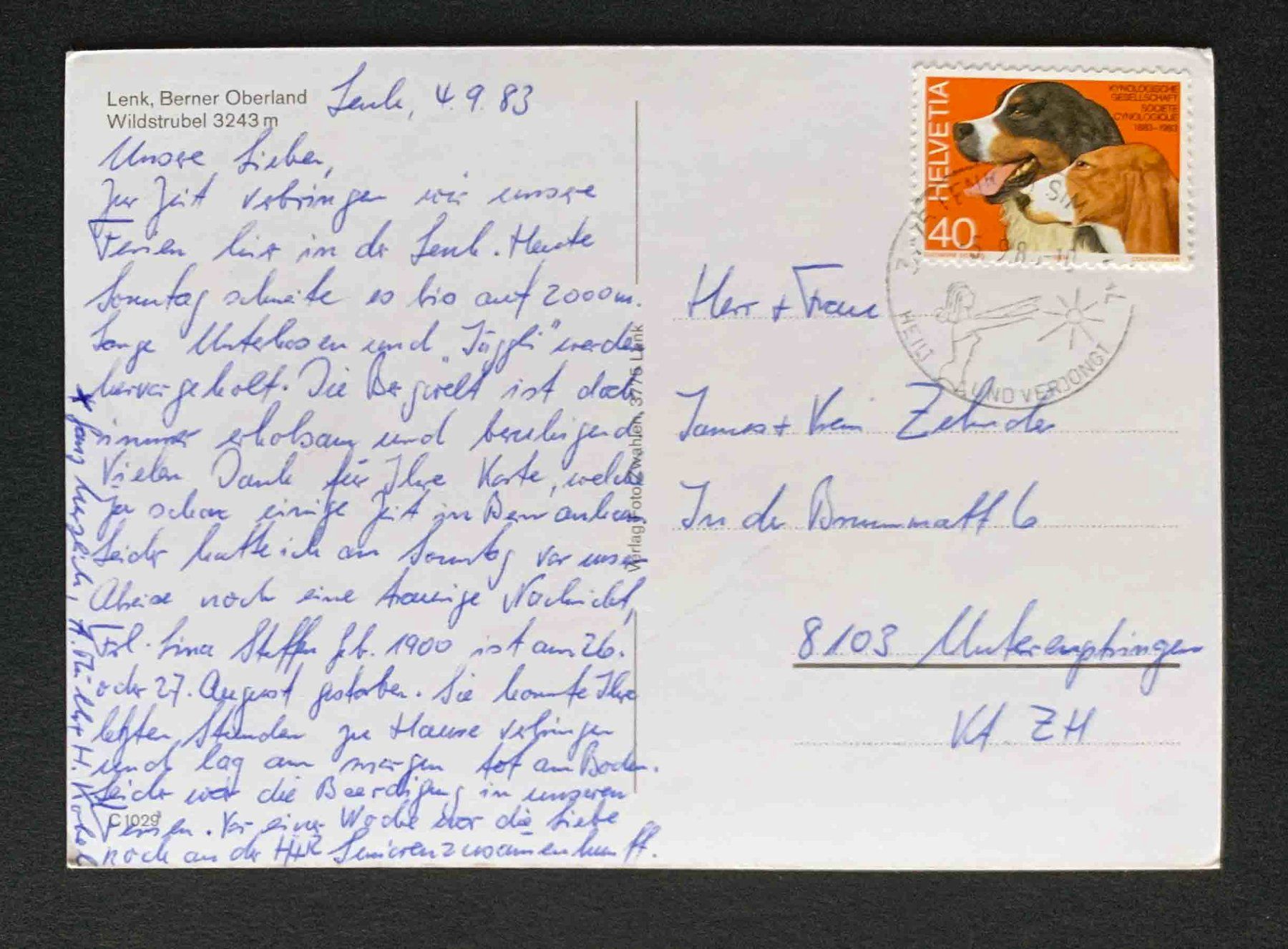 Cartoline postali: AK Lenk Berner Oberland Wildstrubel – Usato da Goldau venduto da artelier1 1
