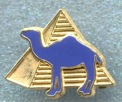 CAMEL 