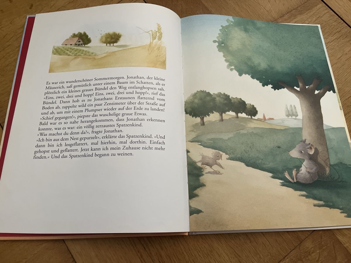 Bücher: Jonathan Spatzenvater Kinderbuch Ingrid Ostheeren Agnes Math – Gebraucht aus Bern von ste_skb2 1