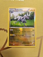 Black and White - Zebstrika